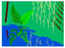 A pond with ferns
